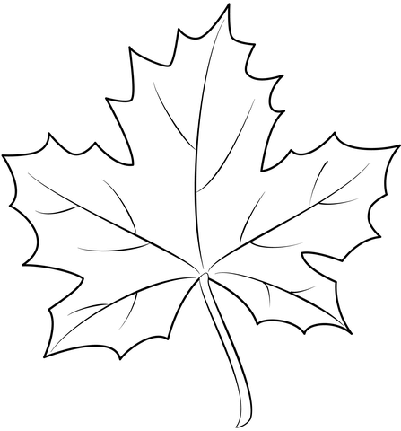 Maple Leaf From Maples Coloring Page